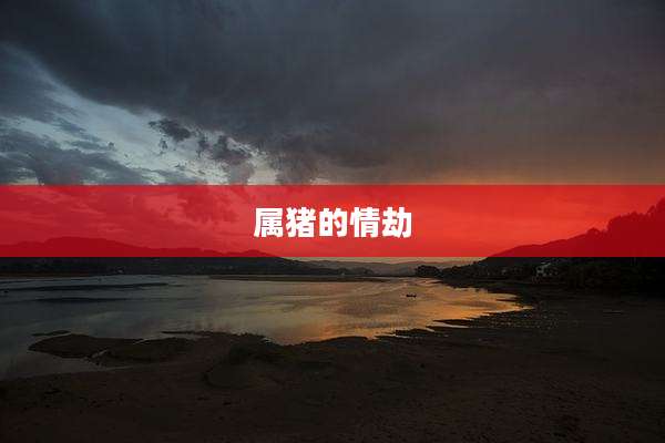 属猪的情劫
