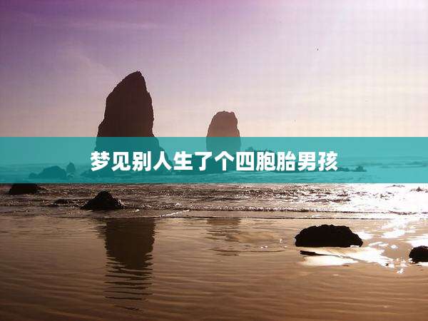 梦见别人生了个四胞胎男孩