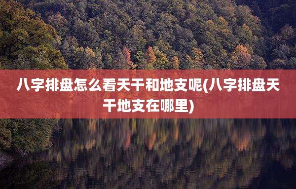 八字排盘怎么看天干和地支呢(八字排盘天干地支在哪里)