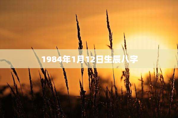 1984年1月12日生辰八字
