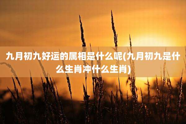 九月初九好运的属相是什么呢(九月初九是什么生肖冲什么生肖)