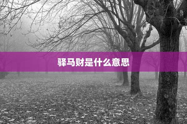 驿马财是什么意思