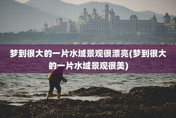 梦到很大的一片水域景观很漂亮(梦到很大的一片水域景观很美)