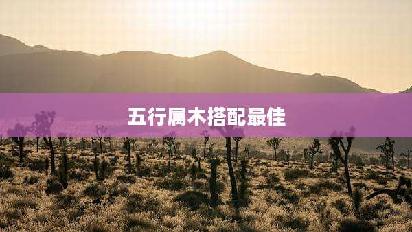 五行属木搭配最佳
