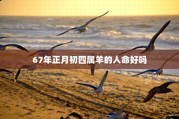 67年正月初四属羊的人命好吗