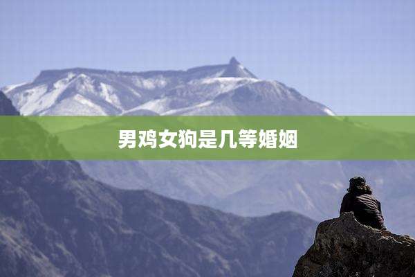 男鸡女狗是几等婚姻