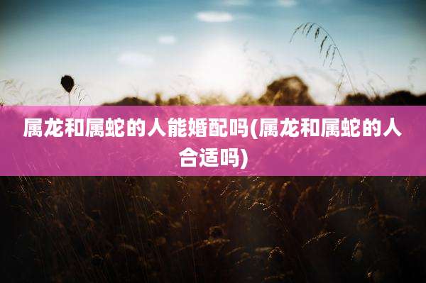 属龙和属蛇的人能婚配吗(属龙和属蛇的人合适吗)
