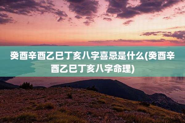 癸酉辛酉乙巳丁亥八字喜忌是什么(癸酉辛酉乙巳丁亥八字命理)