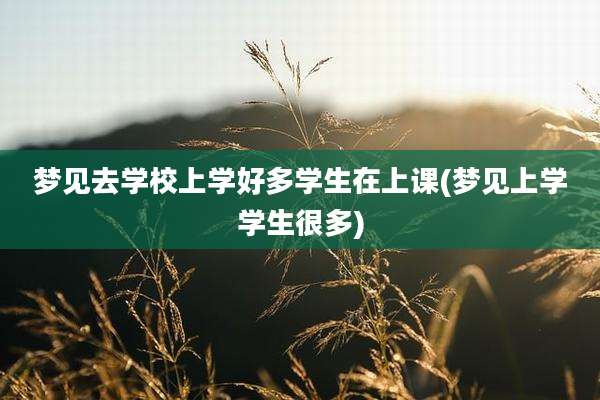 梦见去学校上学好多学生在上课(梦见上学学生很多)