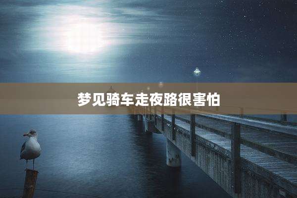 梦见骑车走夜路很害怕