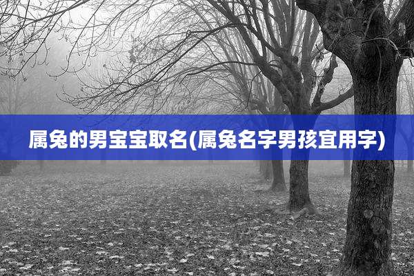 属兔的男宝宝取名(属兔名字男孩宜用字)