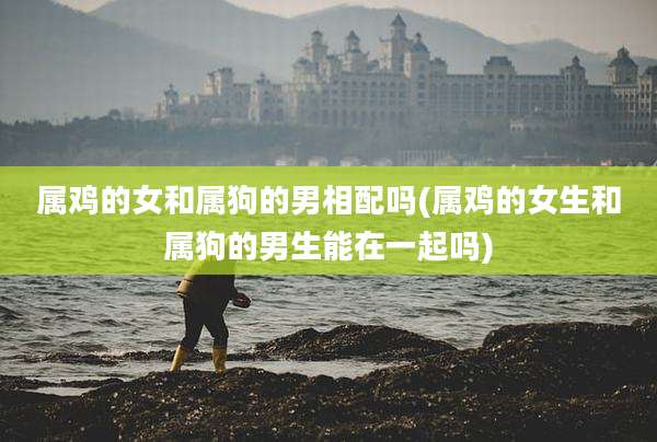 属鸡的女和属狗的男相配吗(属鸡的女生和属狗的男生能在一起吗)