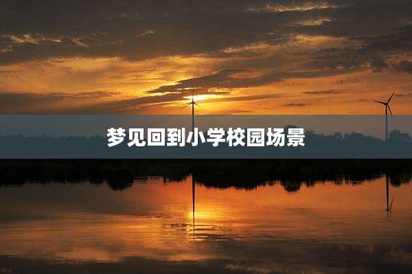 梦见回到小学校园场景