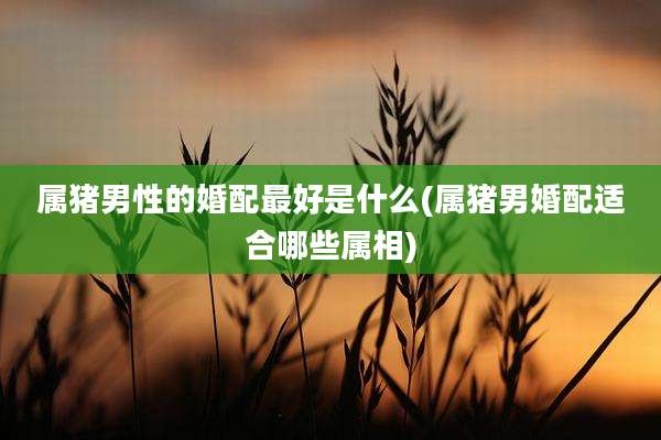 属猪男性的婚配最好是什么(属猪男婚配适合哪些属相)