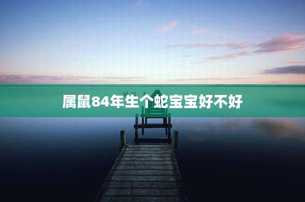 属鼠84年生个蛇宝宝好不好