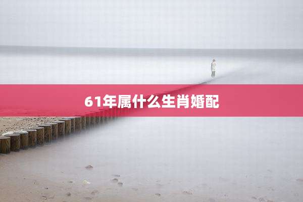 61年属什么生肖婚配