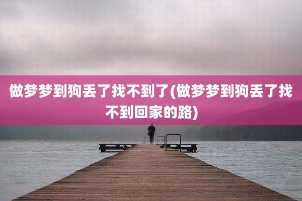 做梦梦到狗丢了找不到了(做梦梦到狗丢了找不到回家的路)