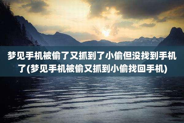 梦见手机被偷了又抓到了小偷但没找到手机了(梦见手机被偷又抓到小偷找回手机)