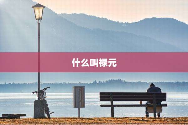 什么叫禄元
