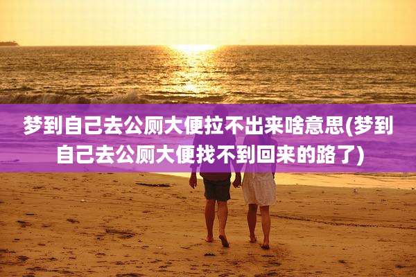 梦到自己去公厕大便拉不出来啥意思(梦到自己去公厕大便找不到回来的路了)