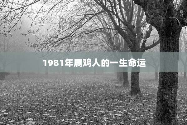 1981年属鸡人的一生命运