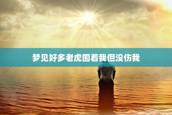梦见好多老虎围着我但没伤我