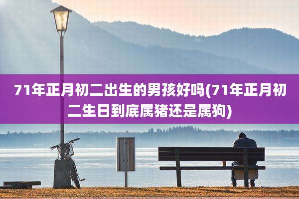 71年正月初二出生的男孩好吗(71年正月初二生日到底属猪还是属狗)