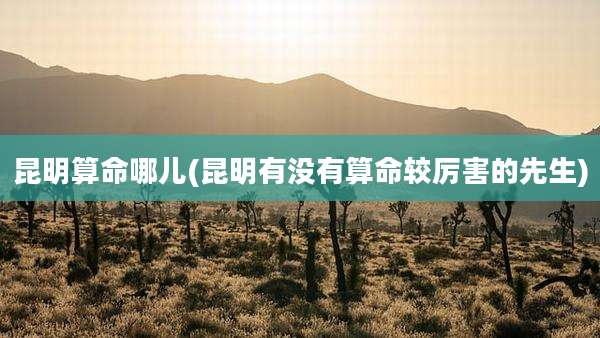 昆明算命哪儿(昆明有没有算命较厉害的先生)