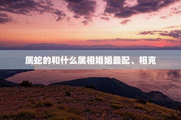 属蛇的和什么属相婚姻最配、相克