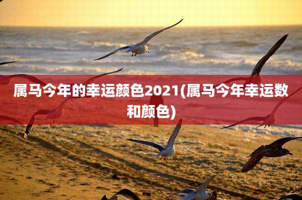 属马今年的幸运颜色2021(属马今年幸运数和颜色)