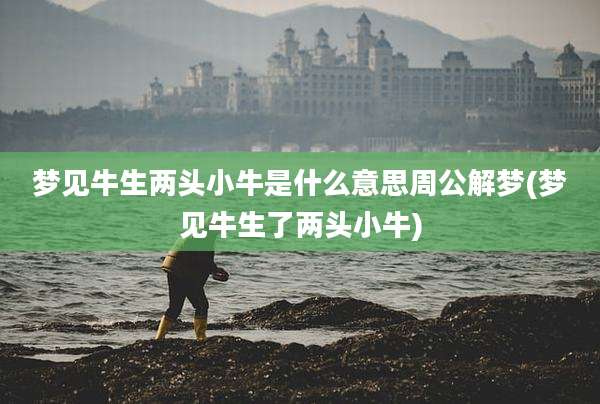 梦见牛生两头小牛是什么意思周公解梦(梦见牛生了两头小牛)