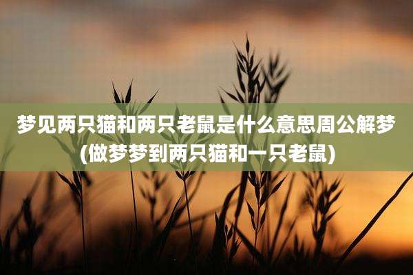 梦见两只猫和两只老鼠是什么意思周公解梦(做梦梦到两只猫和一只老鼠)