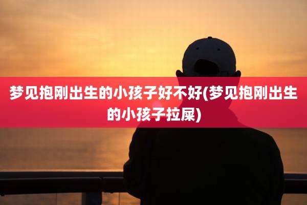 梦见抱刚出生的小孩子好不好(梦见抱刚出生的小孩子拉屎)