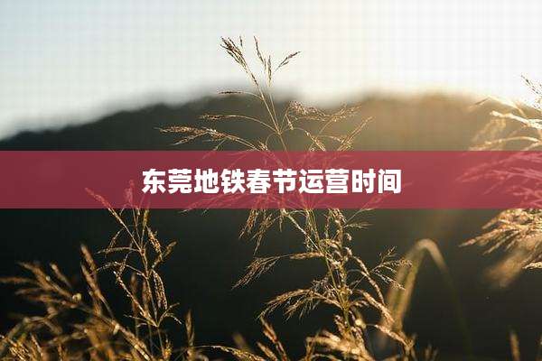 东莞地铁春节运营时间