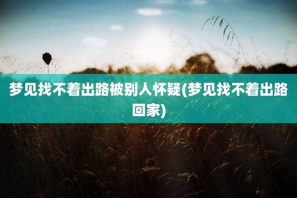 梦见找不着出路被别人怀疑(梦见找不着出路回家)