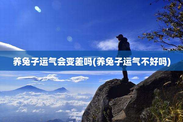 养兔子运气会变差吗(养兔子运气不好吗)