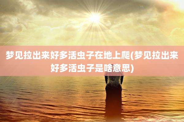 梦见拉出来好多活虫子在地上爬(梦见拉出来好多活虫子是啥意思)