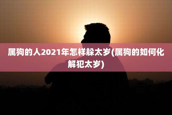 属狗的人2021年怎样躲太岁(属狗的如何化解犯太岁)