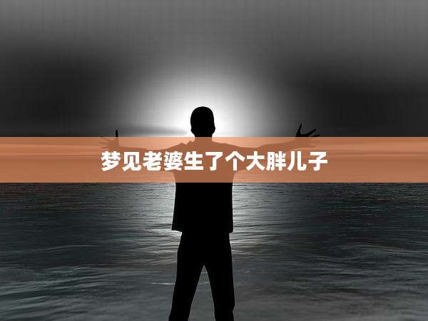 梦见老婆生了个大胖儿子