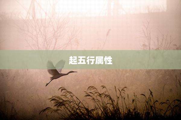 起五行属性