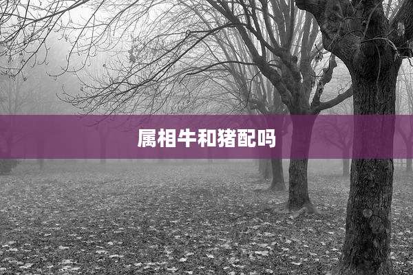 属相牛和猪配吗