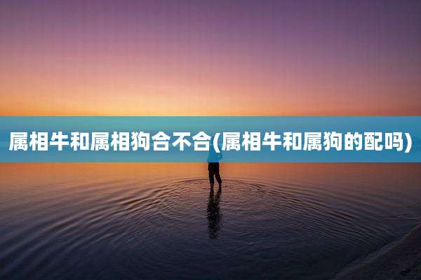 属相牛和属相狗合不合(属相牛和属狗的配吗)