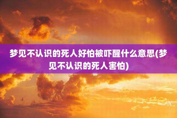梦见不认识的死人好怕被吓醒什么意思(梦见不认识的死人害怕)