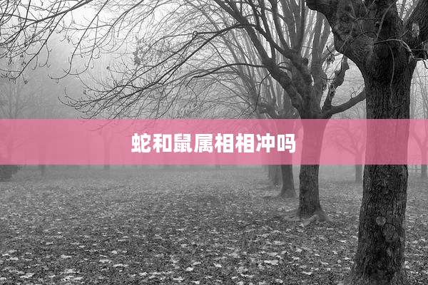 蛇和鼠属相相冲吗