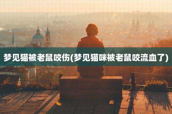 梦见猫被老鼠咬伤(梦见猫咪被老鼠咬流血了)