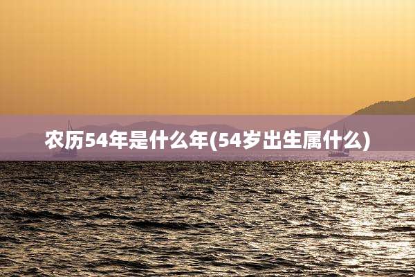 农历54年是什么年(54岁出生属什么)
