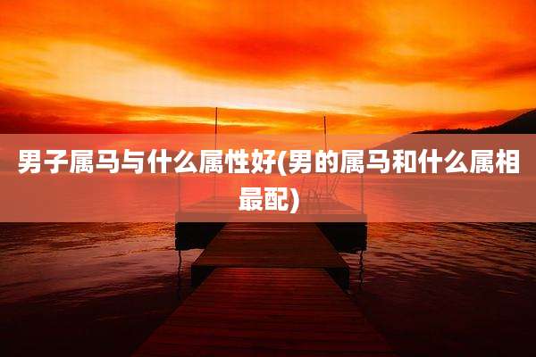 男子属马与什么属性好(男的属马和什么属相最配)