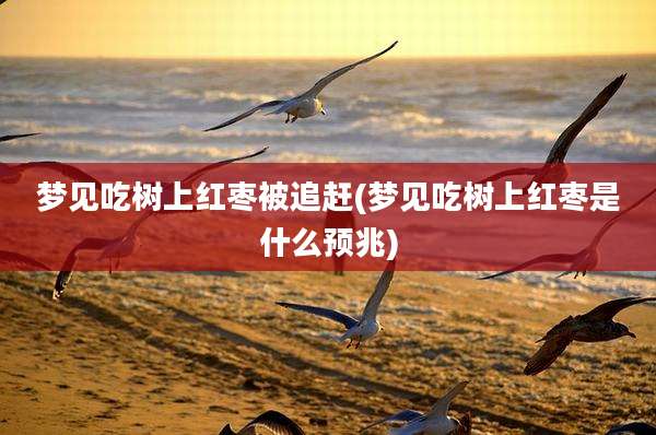 梦见吃树上红枣被追赶(梦见吃树上红枣是什么预兆)