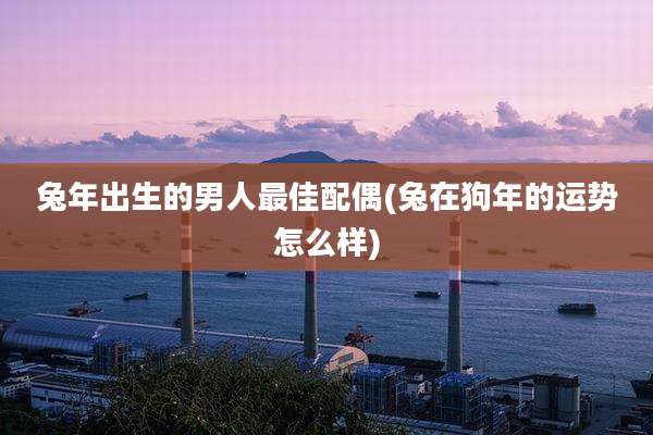 兔年出生的男人最佳配偶(兔在狗年的运势怎么样)