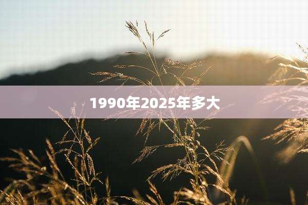 1990年2025年多大
